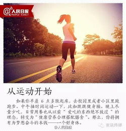 迷雾深渊：追逐虚幻梦想的黑暗森林