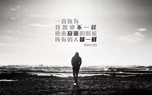 一、 梦境叙事概述