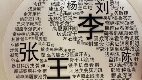 一、 合音姓氏小科普（别问我怎么知道的）