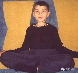 一、 探究背景与对象概述