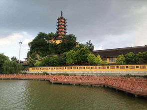 当金山景区游览攻略：如何在夹缝中求生