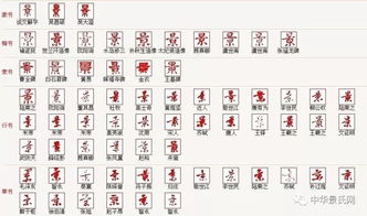 二、十二月出生的“小可爱”有什么独特属性？