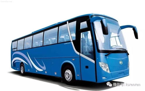 我的悲惨购票经历预想