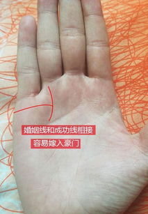 一、  单条婚姻线的深度解析：情感专一与表达困境的博弈