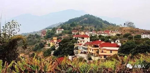 风水堪舆视角下的生态环境解析