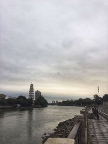 注释及数据来源说明：