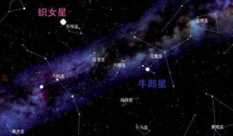 （一）牵牛星与织女星之天象解读