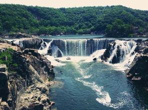 路上：导航就是个骗子， 牛才是老大