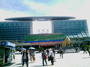 深入浑南：迷失在城市森林