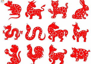 十二生肖中哪位生肖被称为才人？才人代表的是哪个生肖？