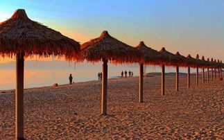 东戴河9月一日游攻略推荐：一场说走就走的“海鲜+沙滩”狂欢（别抱太大期望！）