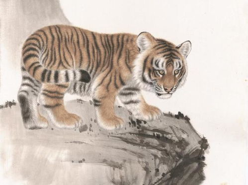 98年男虎和98年女虎的婚姻配对是否合适？