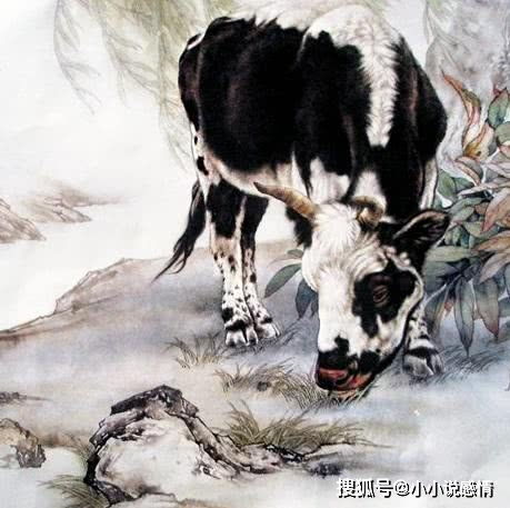 生肖猪：童真实失误——福泽再现