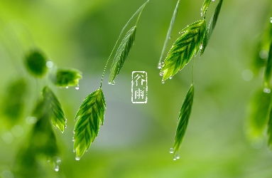一、 谷雨之后的节气——立夏的时序定位