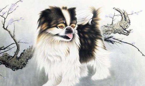 属狗的婚姻与哪个生肖最相配？这是否意味着某种特定的命运或性格契合？