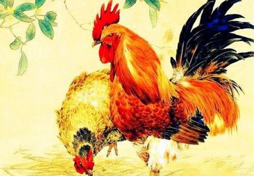 三、 鸡生肖：智慧展现引发学术或专业场合的灵魂相遇