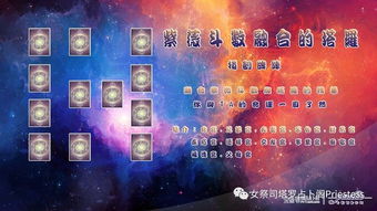 桃花星系分类及其具体功能阐释