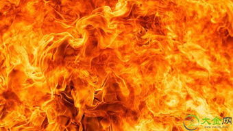 梦见手被火烧是什么预兆？预示着什么不幸或警告？