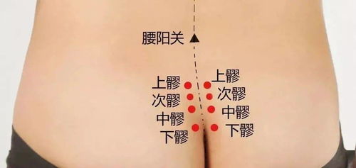 5.1 子宫至亥宫逐一解析（共十二项）