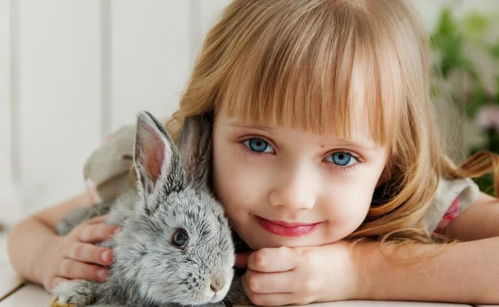 2025年的新趋势与旧观念的碰撞