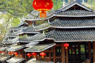 交通：颠簸到怀疑人生（还有那个司机！）