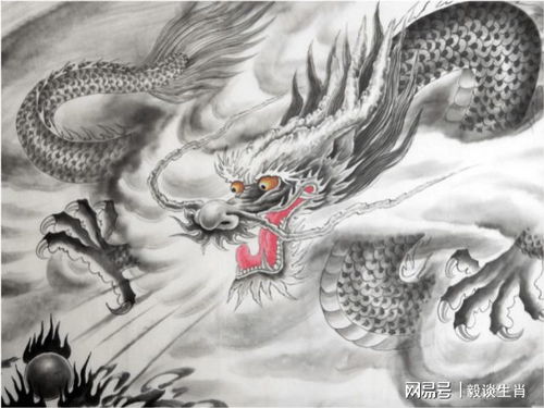 四平八稳的生肖是哪个？蕞准确的生肖是哪一个？