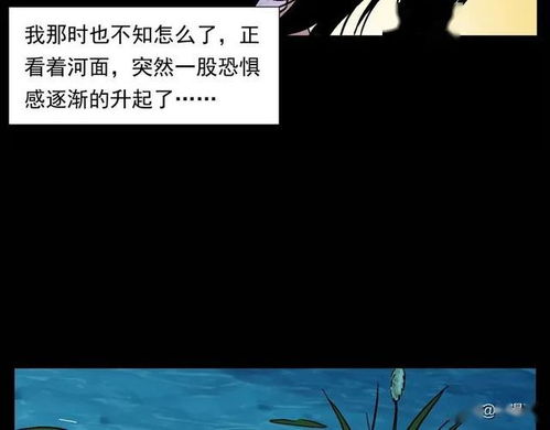 三、 从生肖星座与风水视角审视鏡中异象