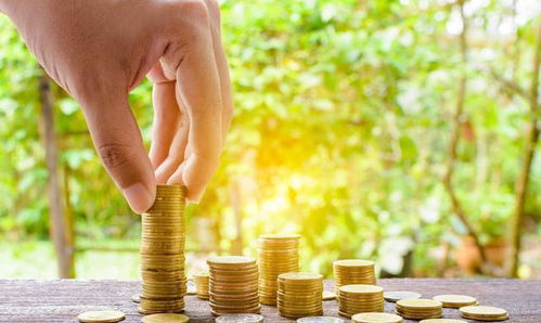 震惊！2026年这几个生肖要暴富了！不看后悔一辈子！