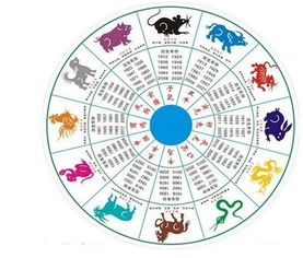 财运分析：平稳中蕴含波动的投资前景