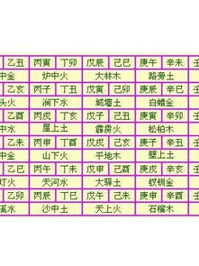 一、 海中金命的内在涵义与基本概念