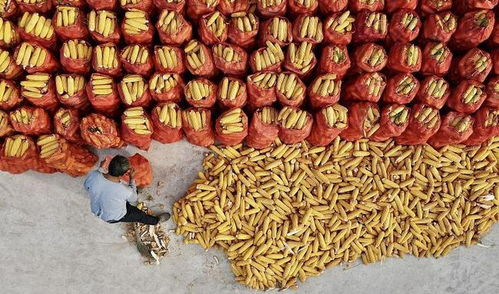 风水学的潜在影响