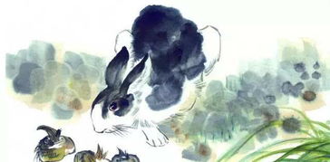 2. 属兔者与兔图之相冲