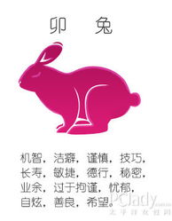 生肖运势：锐气不被挫折所动， 越战越勇之四较大标杆