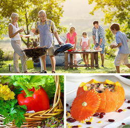 整改与提升：迎接教学审核评估