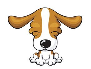 一、 属狗女生的基本属性（先摆烂）