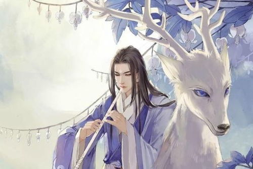 2.2 生肖与星座的影响