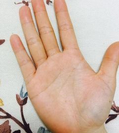 支线路径与多元才能