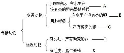 ：牙齿形态在传统相学与命理学中的定位