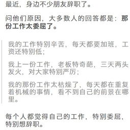B类票：虽然委屈但也没办法