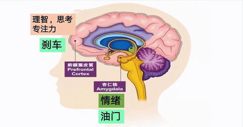 四、 理性审视：文化传承与现代科学的边界意识