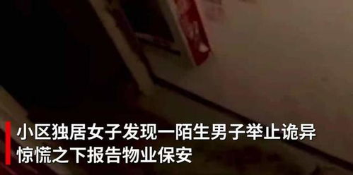 三、 综合评估与调适提议