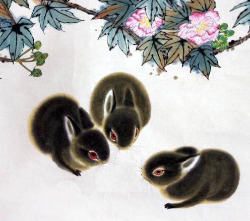 属兔人养几棵富贵竹最旺家运？