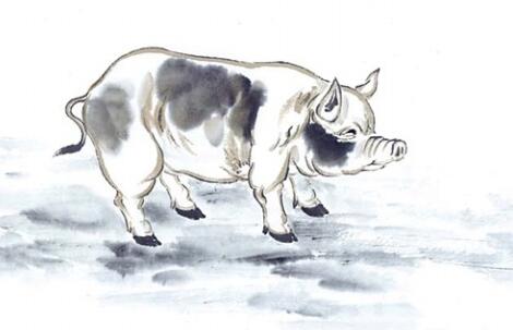 属猪女在十月外的财运如何，一生中哪种颜色的饰品能带来最大旺运？