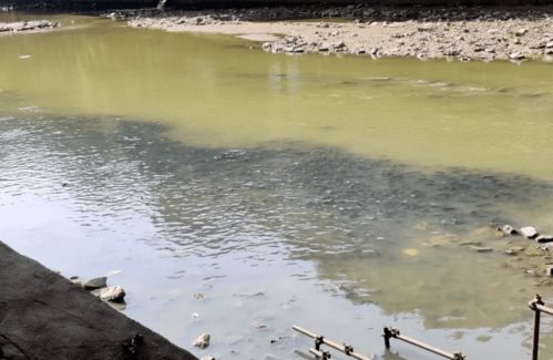 门前有河且河中鱼多，这样的风水是否吉利？