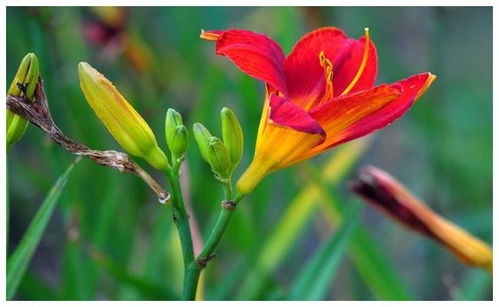 身在福中不知福的生肖是什么？身在福中福不知福是什么意思？