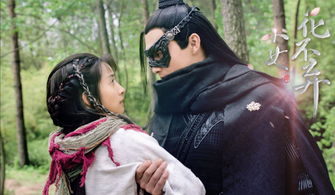 《将不弃柿子》中算命相遇是哪一集？花不弃被毒死发生在第几集？