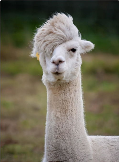 灰色 - 土里土气没出息