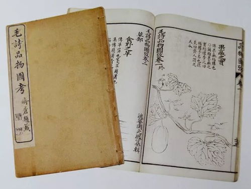 福德宫灵签第八十一签之概述与研究意义