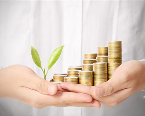 2026年出生金命人运势及运程如何？