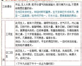 3.2 信息技术辅助下的自动化计算